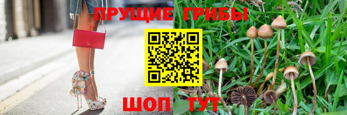 Галлюциногенные грибы прущие грибы  Вход с VPN  Щёлково 